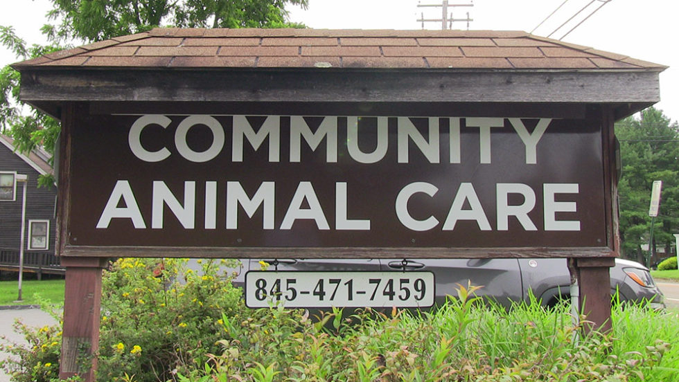 Veterinary Services in Poughkeepsie, NY Community Animal Care