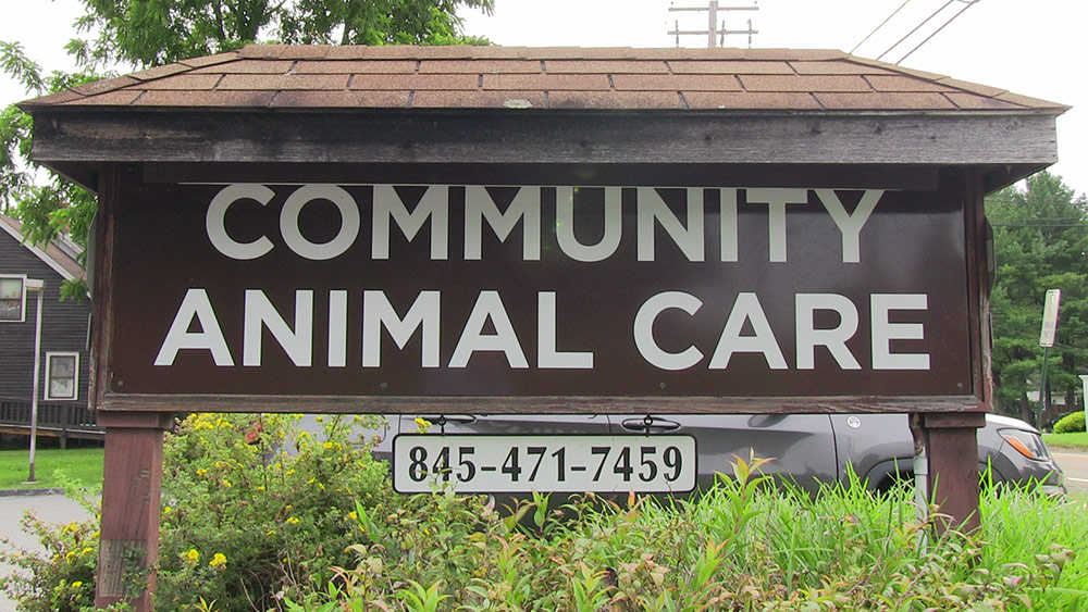 Pet Dentistry vet care in Poughkeepsie, NY | Community Animal Care