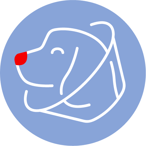 Dog In Cone Icon
