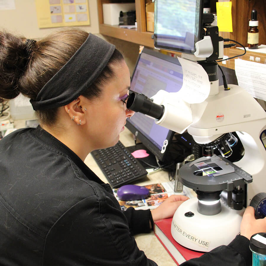 Looking At Microscope