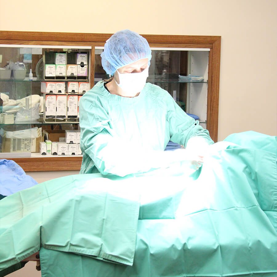 Vet During Surgery