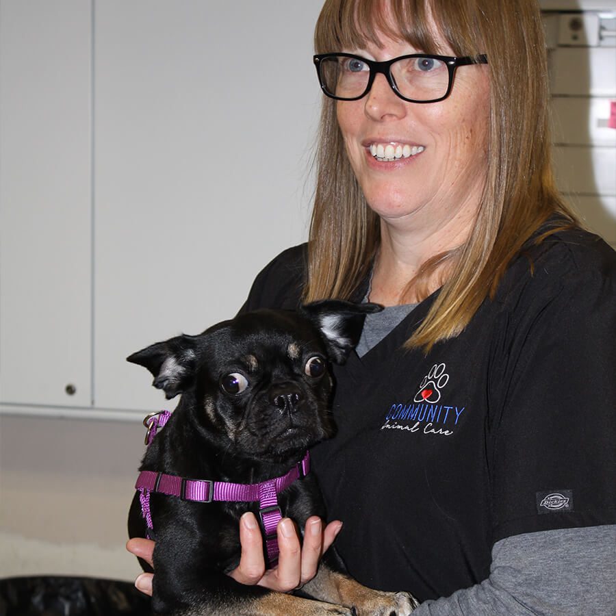Vet Holding Black Dog