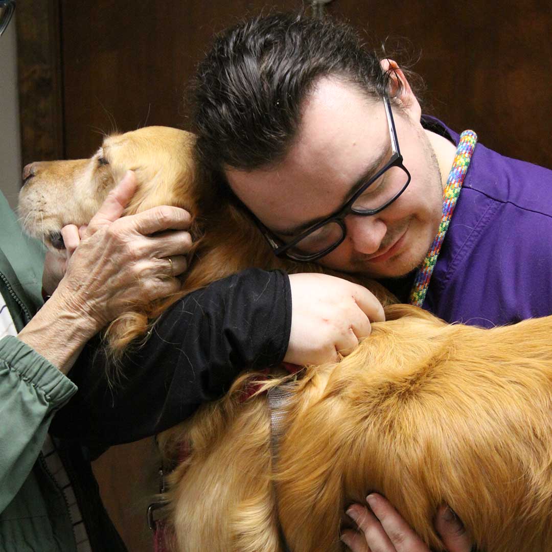 assistant hugging a golden retriever dog