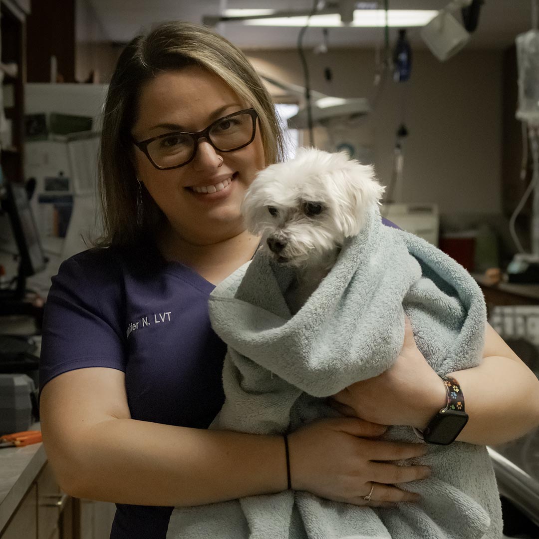 veterinary technician holding a small dog wrapped in a blanket