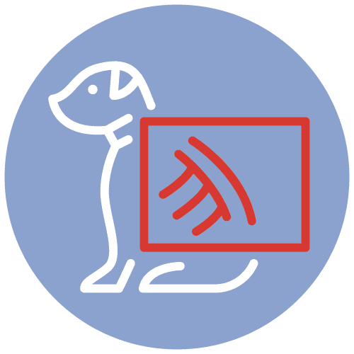 x-ray icon