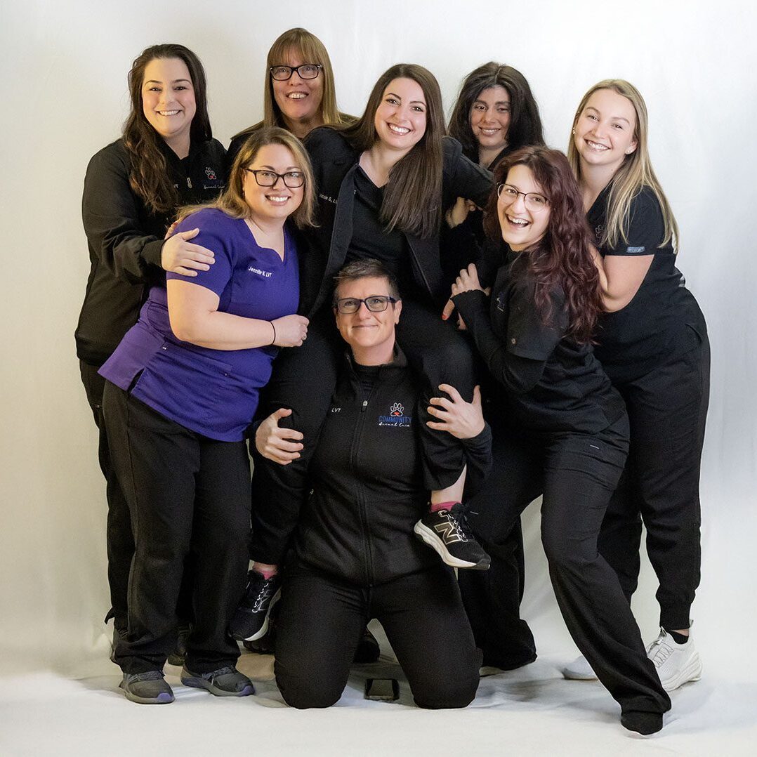 group of LVTs posing for a photo together