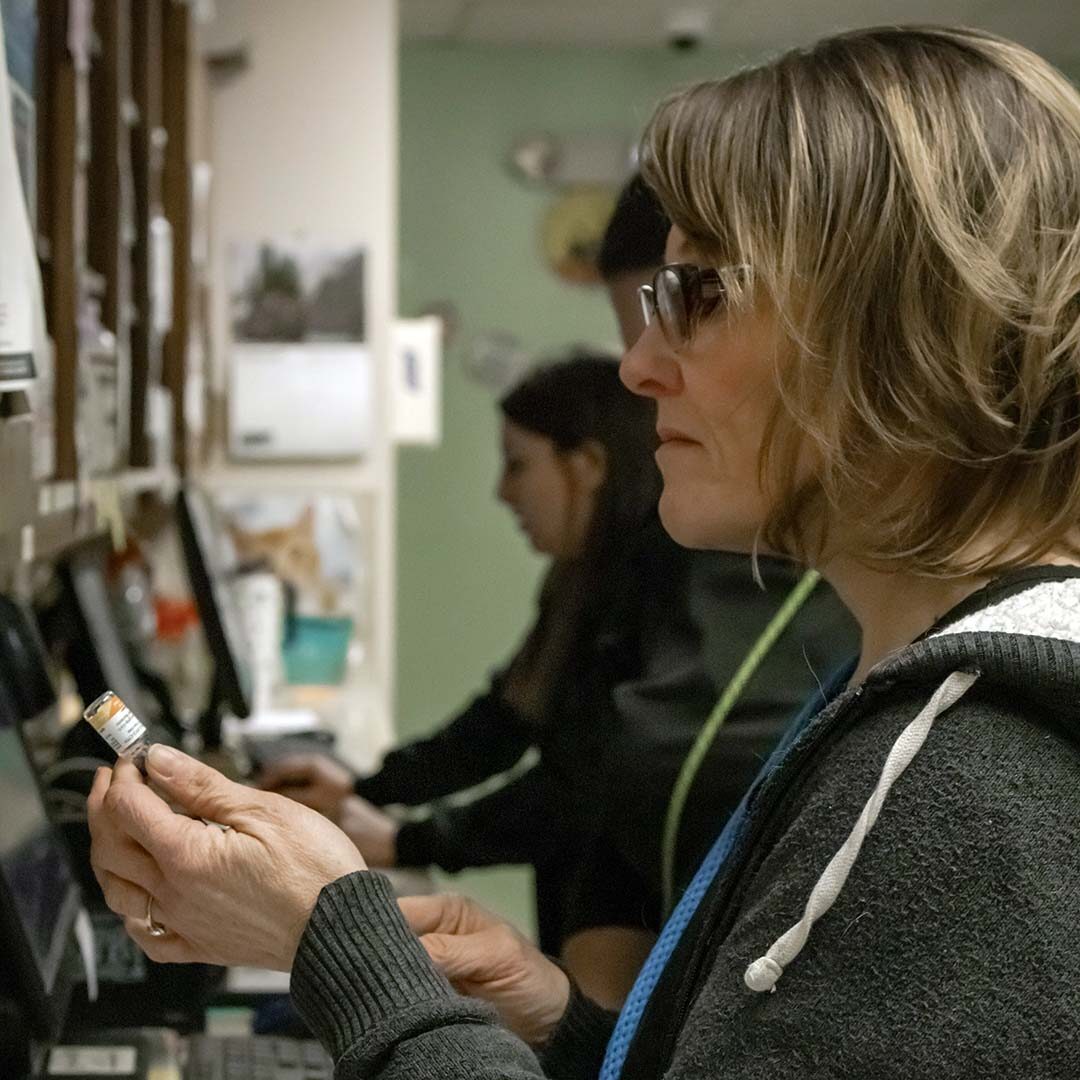 assistant prepping a syringe